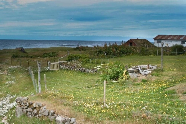 Hotel Isafjordur Horn (Ísafjörður)